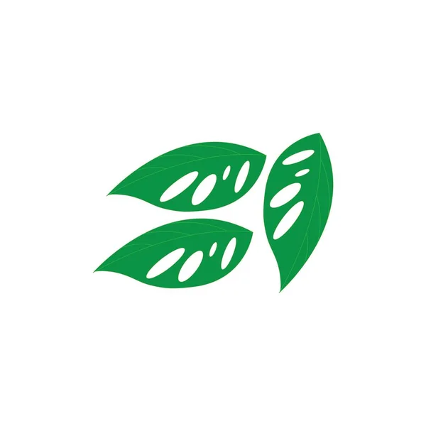 Holow Liście Wektor Projekt Ilustracja Ikona Logo Templa — Wektor stockowy