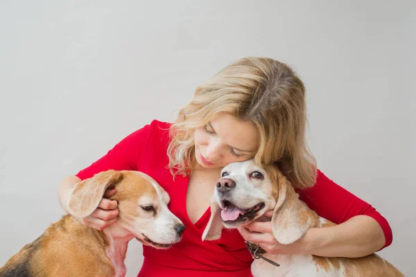 Wanita bergaun merah dengan dua anjing beagle di dalam ruangan. Teman-teman terbaik consept. — Stok Foto