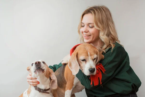 Europese vrouw met twee beagle indoor. Beste vrienden gaan akkoord.. — Stockfoto