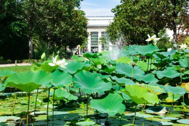 Su tesisleri ve binaları olan gölet