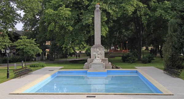 Gyor Hungria Maio 2018 Fogo Eterno Piscina Parque Gyor Hungria — Fotografia de Stock