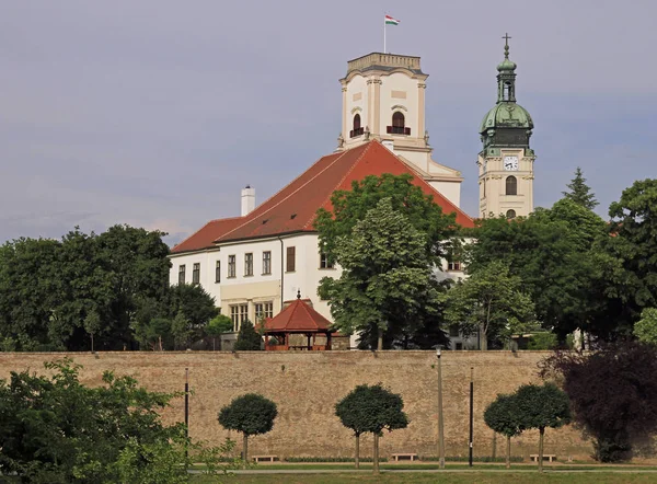 Weergave Van Gebouwen Het Historische Deel Van Gyor Hongarije — Stockfoto