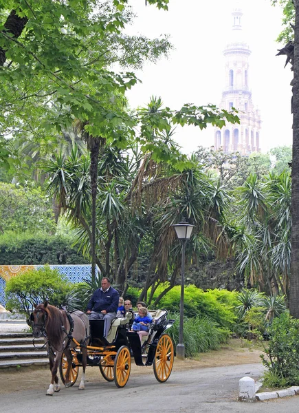 Séville Espagne Mai 2018 Chariot Cheval Dans Parc Maria Luisa — Photo