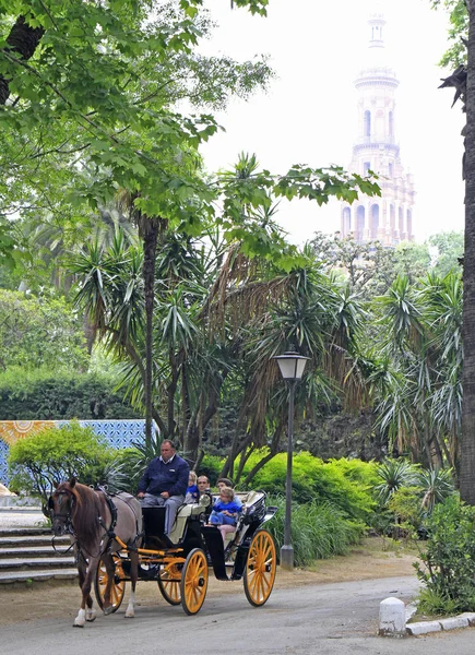 Sevilla Spanien Mai 2018 Pferdekutsche Durch Den Maria Luisa Park — Stockfoto