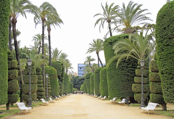 Parque Genoveses i den gamla delen av staden Cadiz — Stockfoto