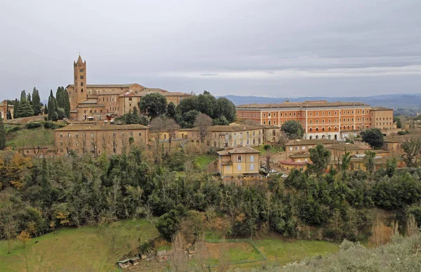 Das Stadtbild Der Italienischen Stadt Siena Der Toskana — Stockfoto