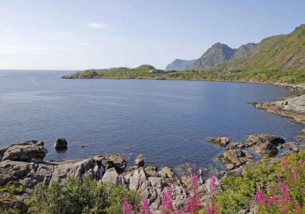 Panoramautsikt över kusten vid Lofotens öar — Stockfoto