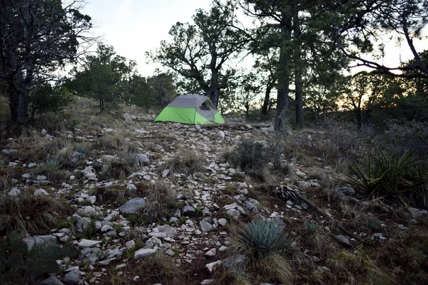 Tente Installée Camping Guadalupe — Photo