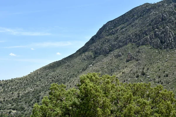 Capitan Trail Goes Guadalupe Peak Guadalupe Mountains National Park — Stock Photo, Image