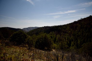 Sahne Blue Ridge Trail, Guadalupe Ulusal Parkı, Teksas 'ta çekildi.