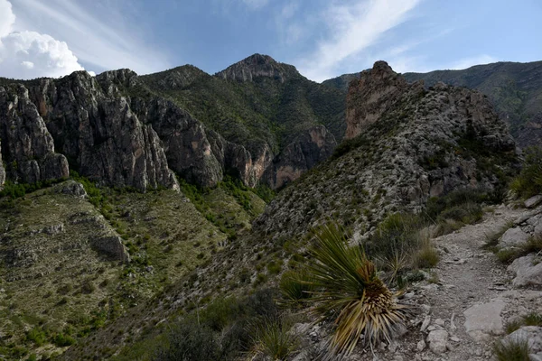 Scena Została Zrobiona Szlaku Tejas Guadalupe National Park Teksas — Zdjęcie stockowe