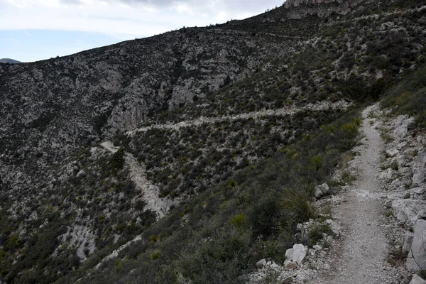 Scene Taken Tejas Trail Guadalupe National Park Texas — Stock Photo, Image