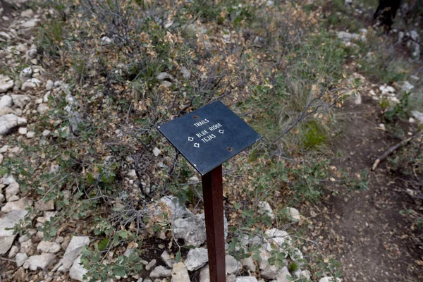 蓝岭小径的尽头与Tejas小径和Mckittrick Canyon小径的入口相交 场景是在德克萨斯瓜达卢佩国家公园的Tejas小径上拍摄的 — 图库照片