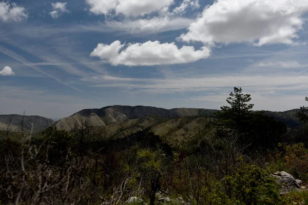 Sahne Blue Ridge Trail, Guadalupe Ulusal Parkı, Teksas 'ta çekildi.