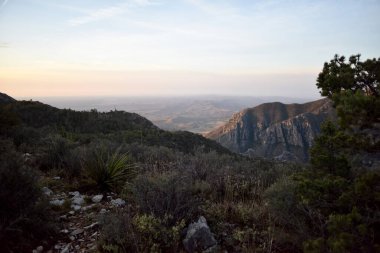 Sahne Bush Dağı Patikası, Guadalupe Ulusal Parkı, Teksas 'ta çekildi.
