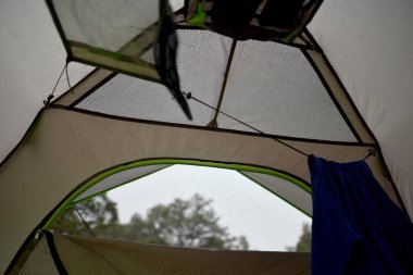 Sahne Pine Top kamp alanında çekildi, Guadalupe Ulusal Parkı, Teksas
