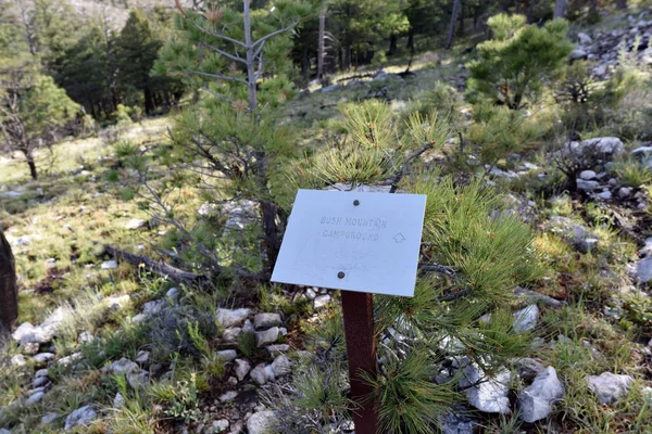 Sahne Bush Dağı Patikası, Guadalupe Ulusal Parkı, Teksas 'ta çekildi.