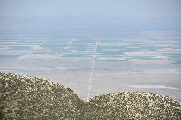 Sahne Bush Dağı Kampı 'nın yakınında, Guadalupe Ulusal Parkı, Teksas' ta çekildi.