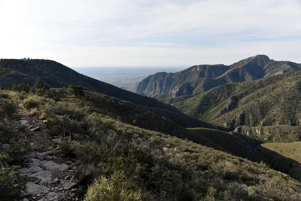 Scene Taken Bush Mountain Trail Guadalupe National Park Texas — Stock Photo, Image