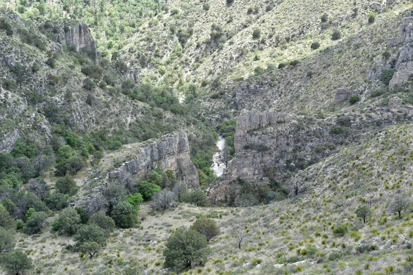 Σκηνή Τραβήχτηκε Στο Tejas Trail Guadalupe National Park Τέξας — Φωτογραφία Αρχείου