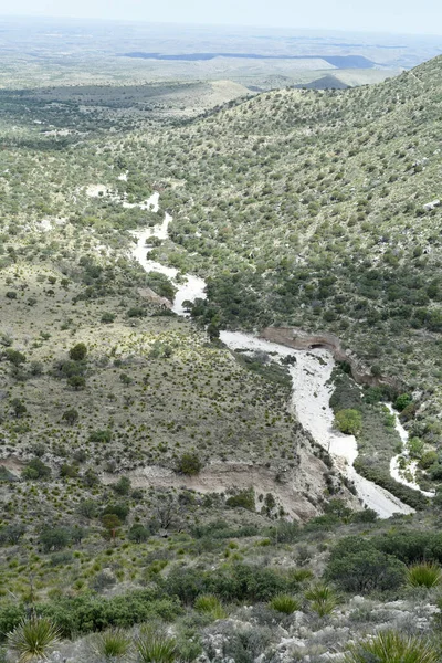 Сцена Снята Дорожке Техас Национальный Парк Гуадалупе Штат Техас — стоковое фото