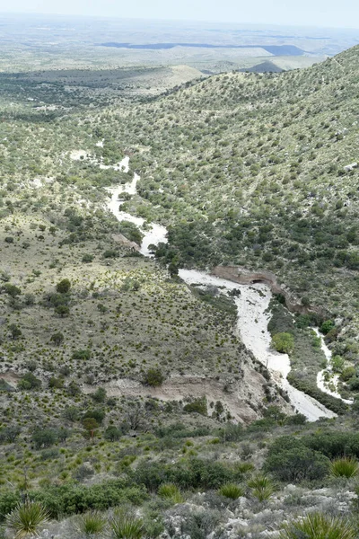 Scena Została Zrobiona Szlaku Tejas Guadalupe National Park Teksas — Zdjęcie stockowe