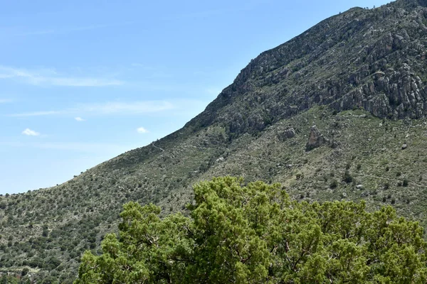 Scene Taken Tejas Trail Guadalupe National Park Texas — Stock Photo, Image
