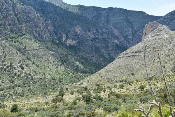 Scene Taken Tejas Trail Guadalupe National Park Texas — Stock Photo, Image