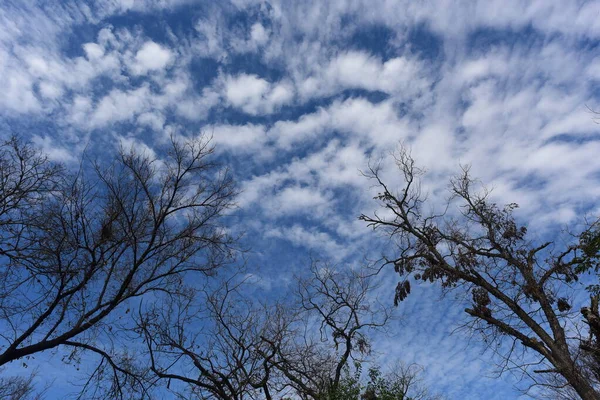 Austin 'de kış bulutu. Sahne Austin, Teksas, ABD 'de çekildi.