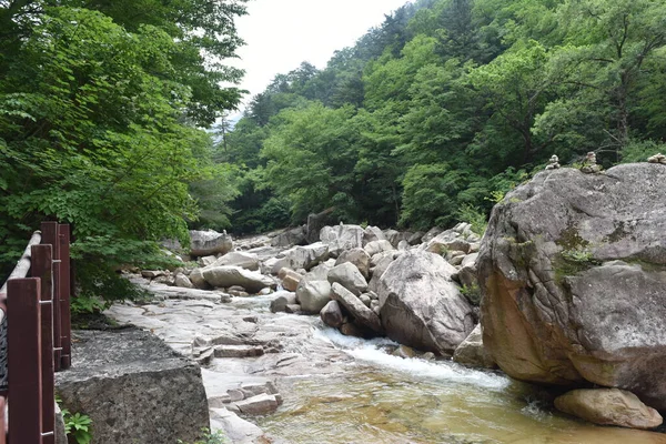 Yaşlı bir kurbağa şeklinde dev bir kaya. 21 Haziran 2019, Seoraksan Ulusal Parkı, Kangwon-do, Kore.