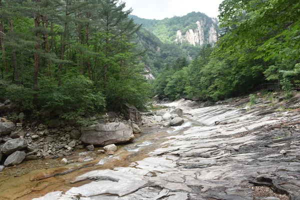 Vadinin Lowe akıntısı. 21 Haziran 2019, Seoraksan Ulusal Parkı, Kangwon-do, Kore.