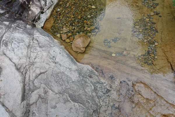 Ormanda taze vadi suyu. 21 Haziran 2019, Seoraksan Ulusal Parkı, Kangwon-do, Kore.