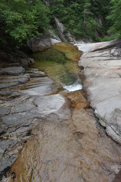 Ormanda taze vadi suyu. 21 Haziran 2019, Seoraksan Ulusal Parkı, Kangwon-do, Kore.