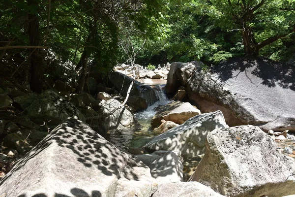 Ormanda küçük bir şelale. 20 Haziran 2019, Seoraksan Ulusal Parkı, Kangwon-do, Kore.
