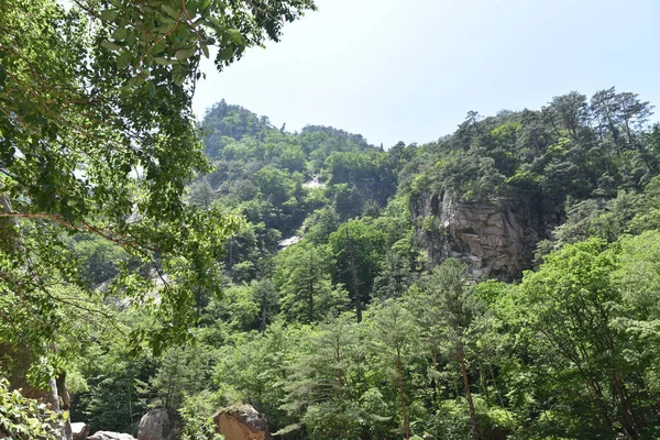 Bosque Verano Sobre Montaña Jun 2019 Parque Nacional Seoraksan Kangwon — Foto de Stock
