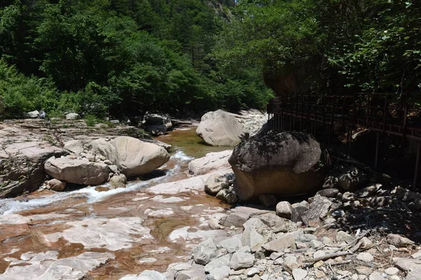 Vadi ve orman yürüyüş yolunun yanında. 20 Haziran 2019, Seoraksan Ulusal Parkı, Kangwon-do, Kore.