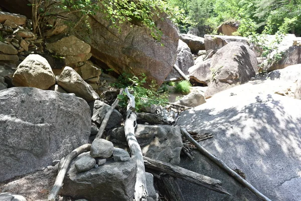 Brutna Grenar Efter Blixt Översvämning Jun 2019 Seoraksan National Park — Stockfoto