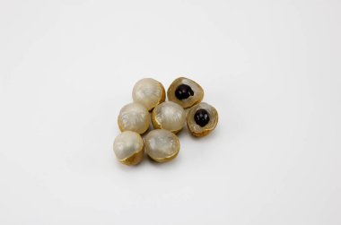 Taze Longalılar soyulmuş bir deseni olan beyaz bir arkaplana yerleştirildi.