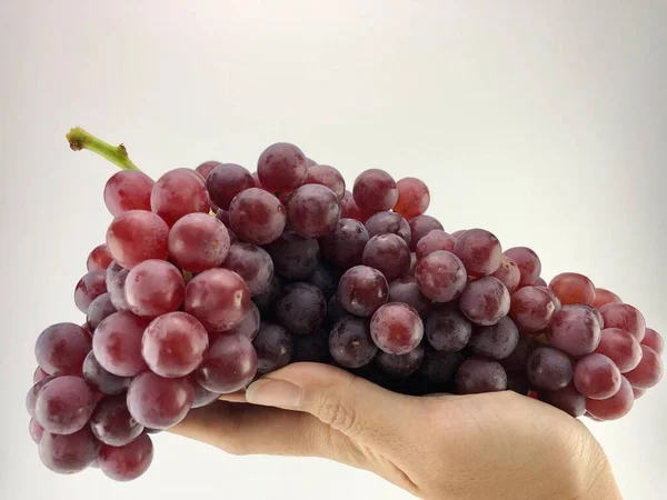 Rote Trauben Auf Den Händen Hinter Weißem Hintergrund — Stockfoto