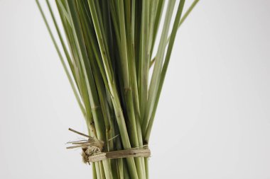 Beyaz arka planda taze limon otu.