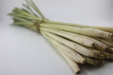 Beyaz arka planda taze limon otu.