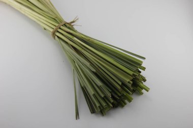 Beyaz arka planda taze limon otu.