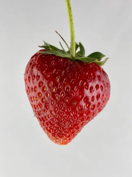 Rode Aardbeien Een Witte Achtergrond — Stockfoto