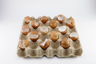 Yumurta kabuğu beyaz arkaplandaki bir kutuya yerleştirilir.