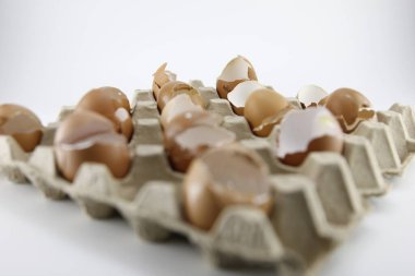 Yumurta kabuğu beyaz arkaplandaki bir kutuya yerleştirilir.