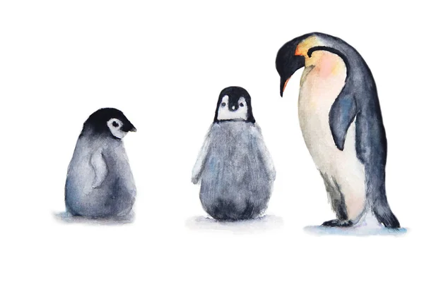 Watercolor Penguin Set Isolated White Background — Stock Photo, Image