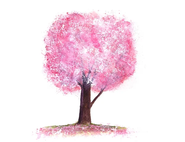 Akvarell Rosa Träd Sakura — Stockfoto