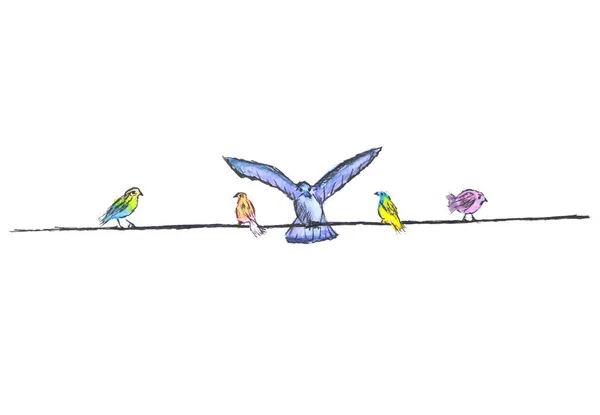 ケーブルに水彩画の手描きの鳥 — ストック写真