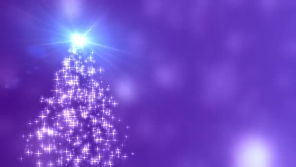 Flocons de neige étoiles convergent vers le sapin de Noël avec fond bokeh violet — Video