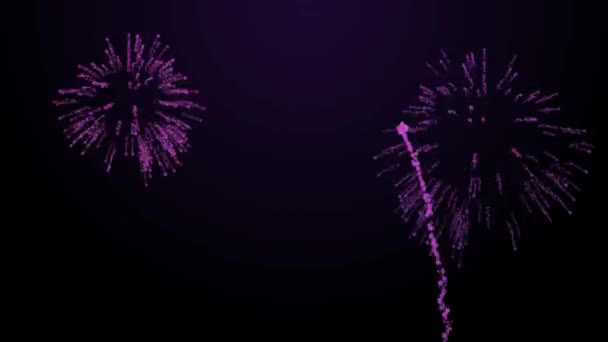 Feuerwerk platzt über schwarzem Hintergrund Animation lila Tönung — Stockvideo